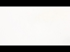 Silnik krokowy ze śrubą kulową NEMA 11 Siła napędowa dokładności